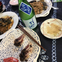 土佐しらぎく