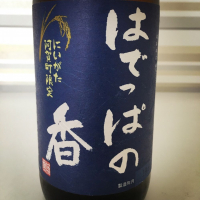 新潟県の酒