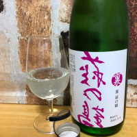 宮城県の酒