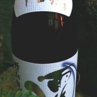 
            雨後の月_
            しゅんさん
