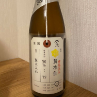 新潟県の酒