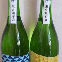 臥龍梅