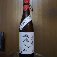 越後美人