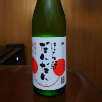 
            ほろ酔_
            Kenji Iwasakiさん
