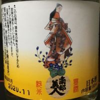 南部美人