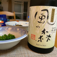 
            風の森_
            シーザリオさん