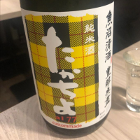 新潟県の酒