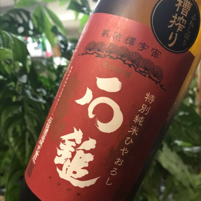 愛媛県の酒