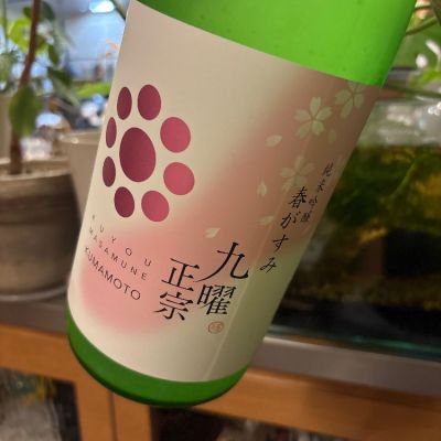 九曜正宗のレビュー by_さだこ
