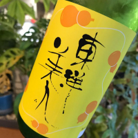 山口県の酒