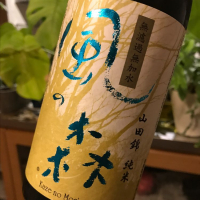 
            風の森_
            さだこさん