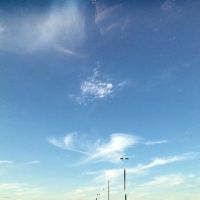 お酒に恋い焦がれ