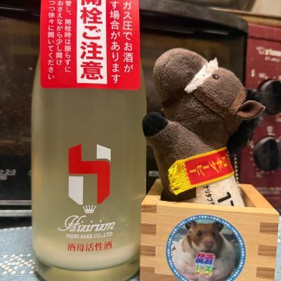 HIZIRIZMのレビュー by_ともがゆく