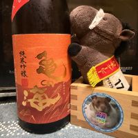 亀の海