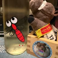 仙禽