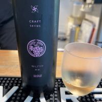 CRAFT series