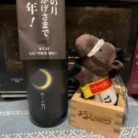 冬の月