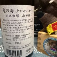 亀の海のレビュー by_ともがゆく