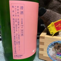 甲子のレビュー by_ともがゆく