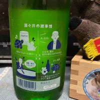 甲子のレビュー by_ともがゆく