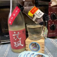 紗利