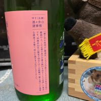 甲子のレビュー by_ともがゆく