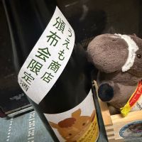 越生梅林のレビュー by_ともがゆく