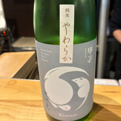 甲子のレビュー by_たけ