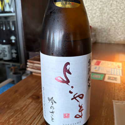 よこやまのレビュー by_たけ