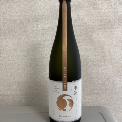 甲子のレビュー by_たけ