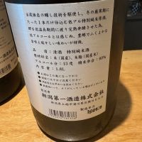 越の白鳥のレビュー by_たけ