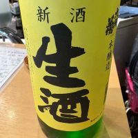 九州菊