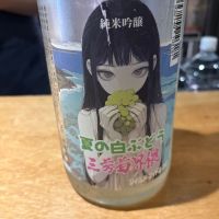 三芳菊