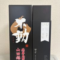 甲子のレビュー by_たけ