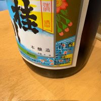 桂川のレビュー by_たけ
