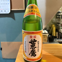 金紋世界鷹
