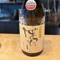 土佐しらぎく