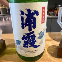 浦霞