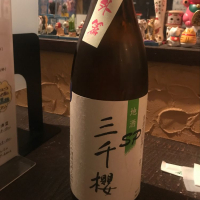 
            三千櫻_
            たけさん