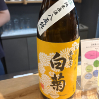 奥能登の白菊