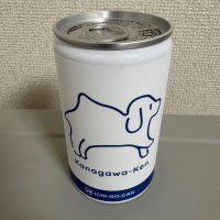 盛升