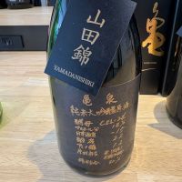 亀泉