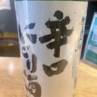 
            越の白鳥_
            たけさん