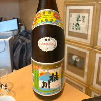 桂川