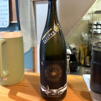 花火と企鵝