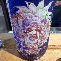 三芳菊