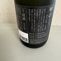 甲子のレビュー by_たけ