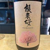 根来桜