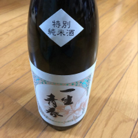 一生青春
