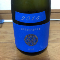 新政